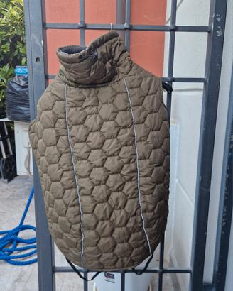 Giubbottino cane taglia grande