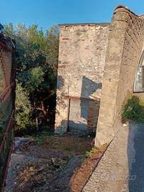 A 50 km da roma rustico con uliveto