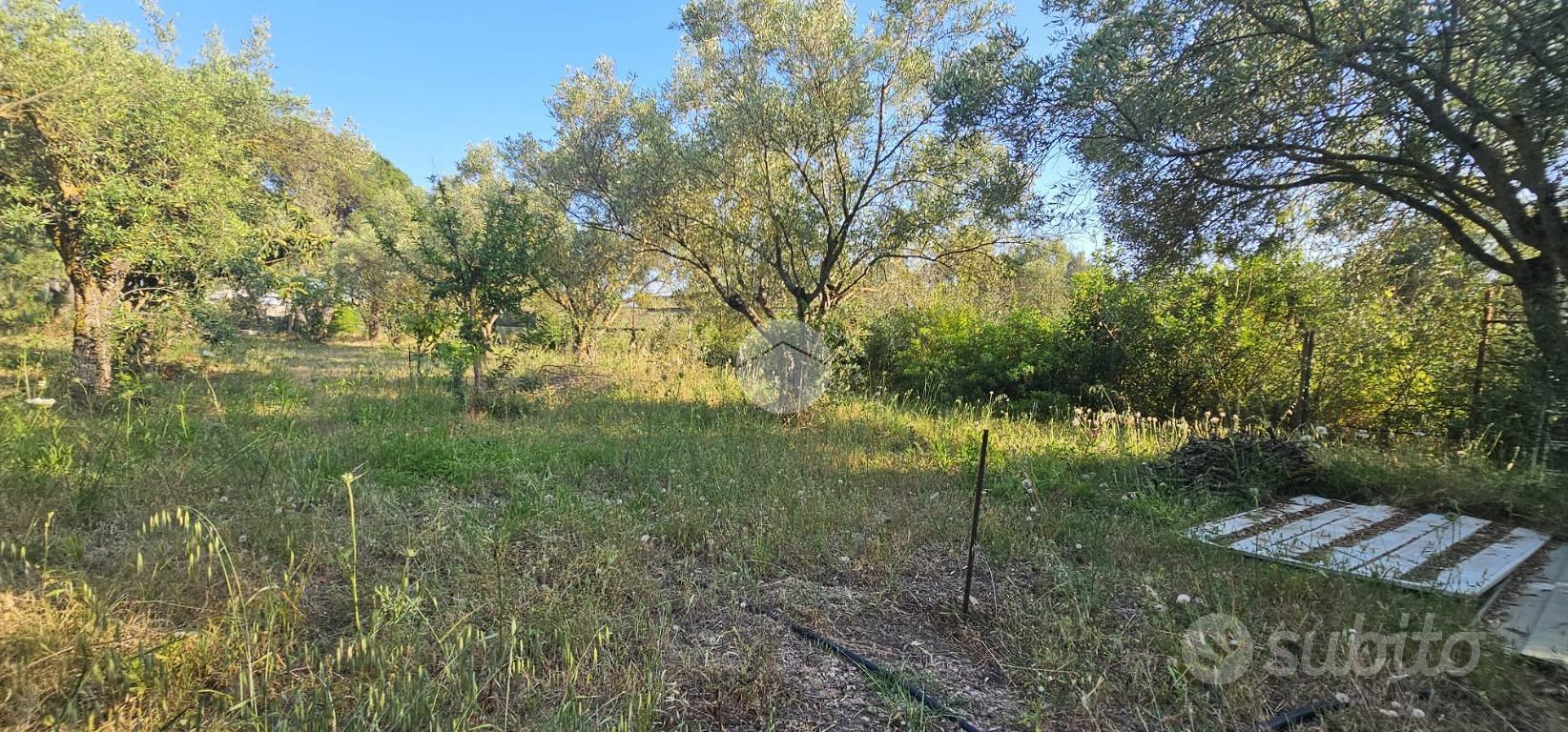 TER. AGRICOLO A QUARTUCCIU - Vista 4