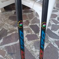 Italcanna evo 170, 4.40 mt