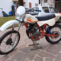 TGM 50 con Minarelli P6