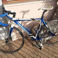 bici in carbonio cannondale