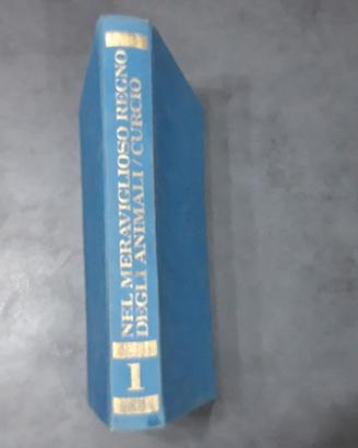 Enciclopedia