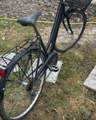 biciclette citybike 
