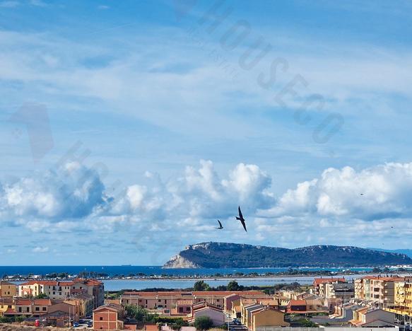 Zona Pitz'e Serra: Quadrilocale vista mare