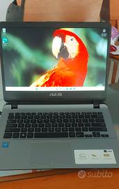 Asus Vivobook 14" Win 11 Ssd 128gb