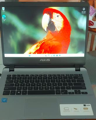 Asus Vivobook 14" Win 11 Ssd 128gb