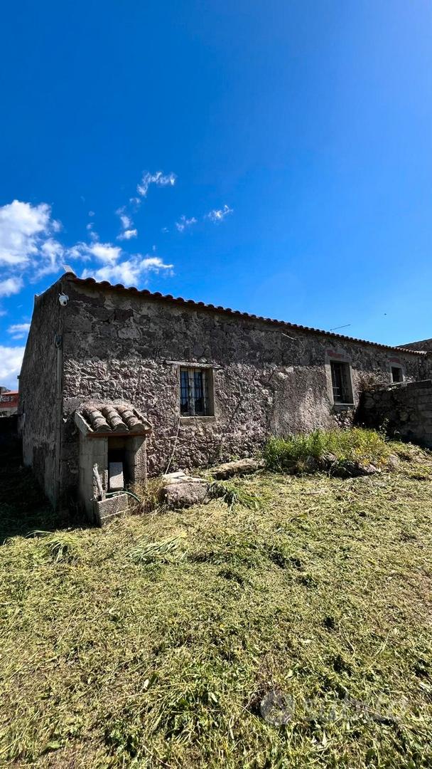 Tenuta Sarda Autentica con Potenziale di Sviluppo - Vista 5