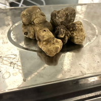Tartufo bianco e nero