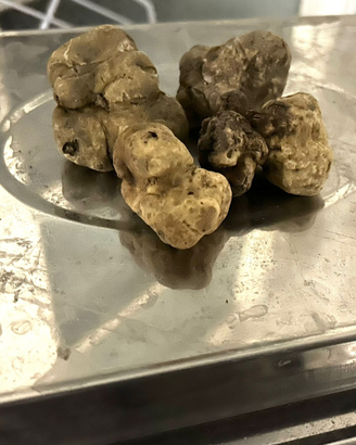 Tartufo bianco e nero