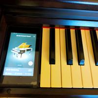 PIANOFORTE DIGITALE KAWAI CA79  ROSEWOOD