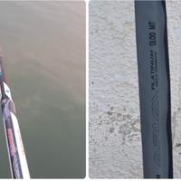 Canna bolognese 13 metri