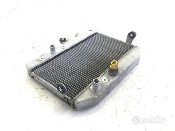 SUZUKI BURGMAN AN 400 RADIATORE ACQUA LIQUIDO RAFF