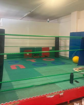 Pugilato kick boxing