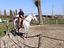 Immagine 6