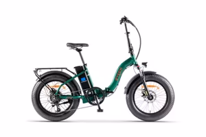 Bici Elettrica ZT-89E