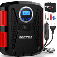 Compressore d'aria portatile per pneumatici 230 V