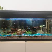 ACQUARIO COMPLETO DA 120L