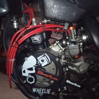 Kit para pignone copri accensione am6 beta