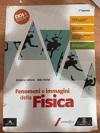 Fenomeni e immagini della fisica