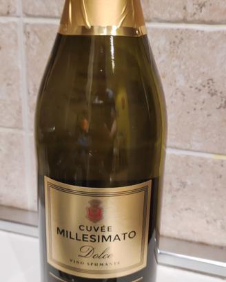 bottiglie vini spumanti 