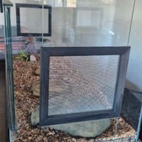 Rettilario e termostato