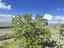 Immagine 11