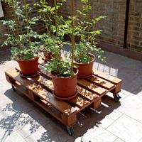 Carrello pallet con ruote