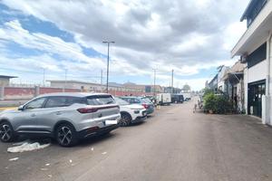 Viale c.u.maddalena- locale comm.le con giardino
