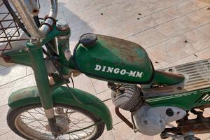 Moto  Guzzi Dingo Mm 50cc Verde