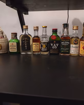 Lotto 13 Mignon Whisky Scozzesi e Bourbon