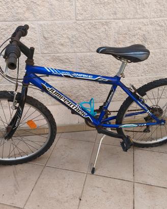 Biciclette bimbo (30 €)