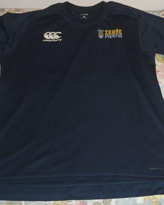 Maglia allenamento Zebre Rugby
