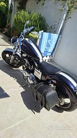 Harley-Davidson CustomBobber _Unica nel suo genere