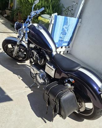 Harley-Davidson CustomBobber _Unica nel suo genere