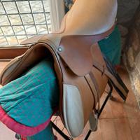 Sella inglese, Pariani nuova