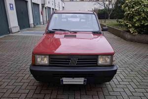 FIAT Panda 1ª serie 900 i.e. cat Young