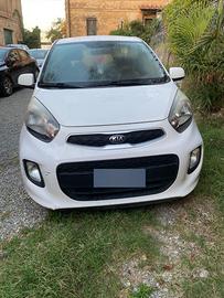 Kia Picanto  aprile 2016 Benzina 1000cc   48.50Kw