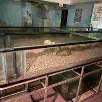 articoli acquarologia vasche per coralli etc