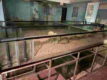 articoli acquarologia vasche per coralli etc