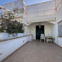 Isola delle femmine e 250mt dal mare