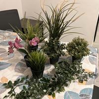 Set 7 piante finte ikea