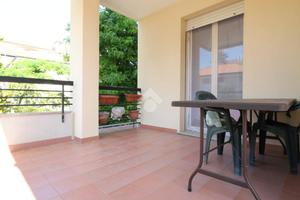 5 LOCALI A RIMINI