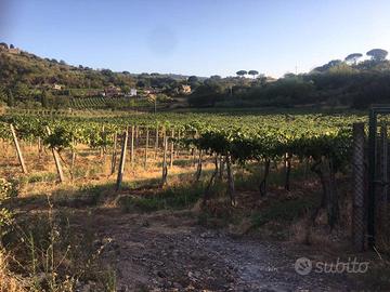 Vendita / rent to buy