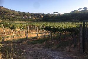 Vendita / rent to buy