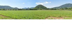 Terreno Agricolo ai piedi dei Colli Euganei