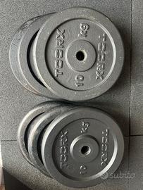 Dischi palestra, foro da 25 mm