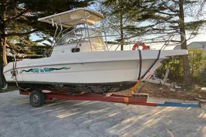 CAPELLI CAP 23 + 2x115hp EVINRUDE