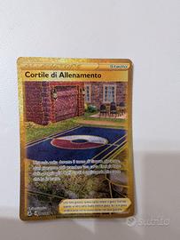 282-264 Cortile di Allenamento Gold Rara Segreta