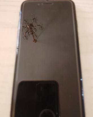 iPhone 8